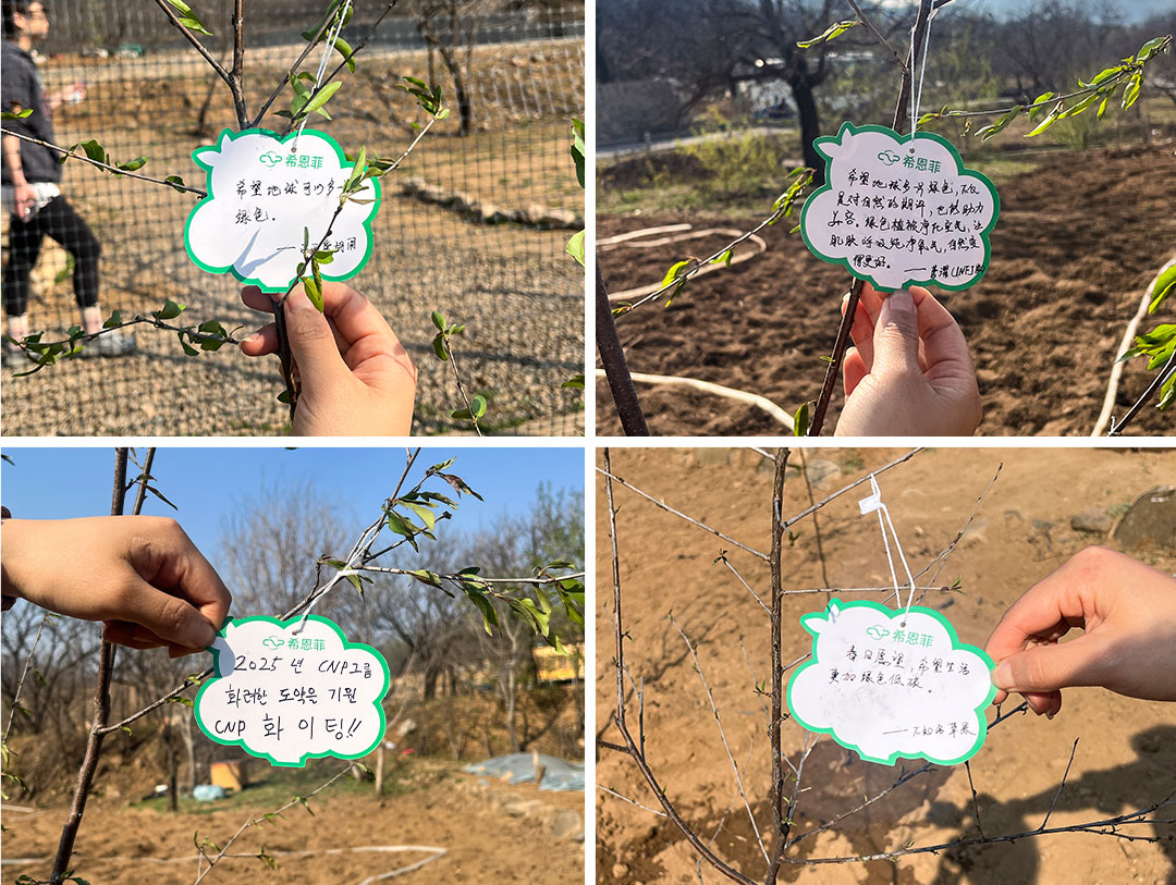 图片 6.png 图片 6.png