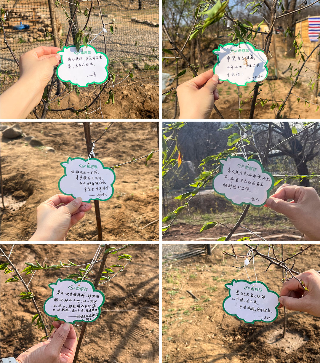 图片 7.png 图片 7.png